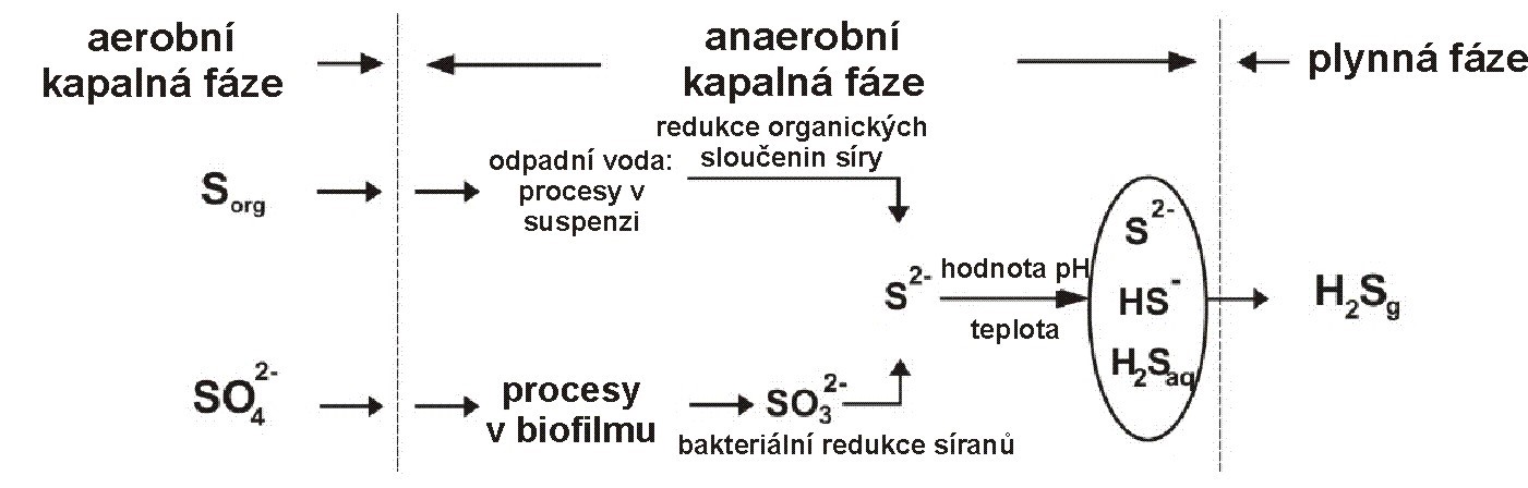 Obr. 1 Tvorba sirovodíku v odpadní vodě
