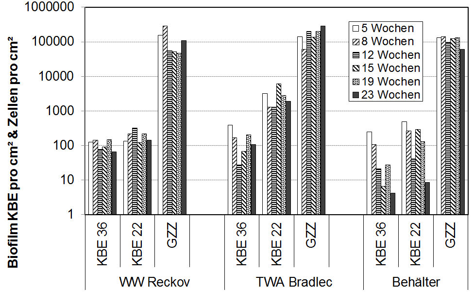 Obr. 2. Výsledky vyšetření biofimu: počet kolonií při 22 a 36 °C (KBE22, KBE36) a celkový počet buněk (GZZ) na 1 cm2 biofilmu. Legenda: WW = úpravna vody; TWA = čerpací stanice; Behälter = vodojem; Wochen = týdny.