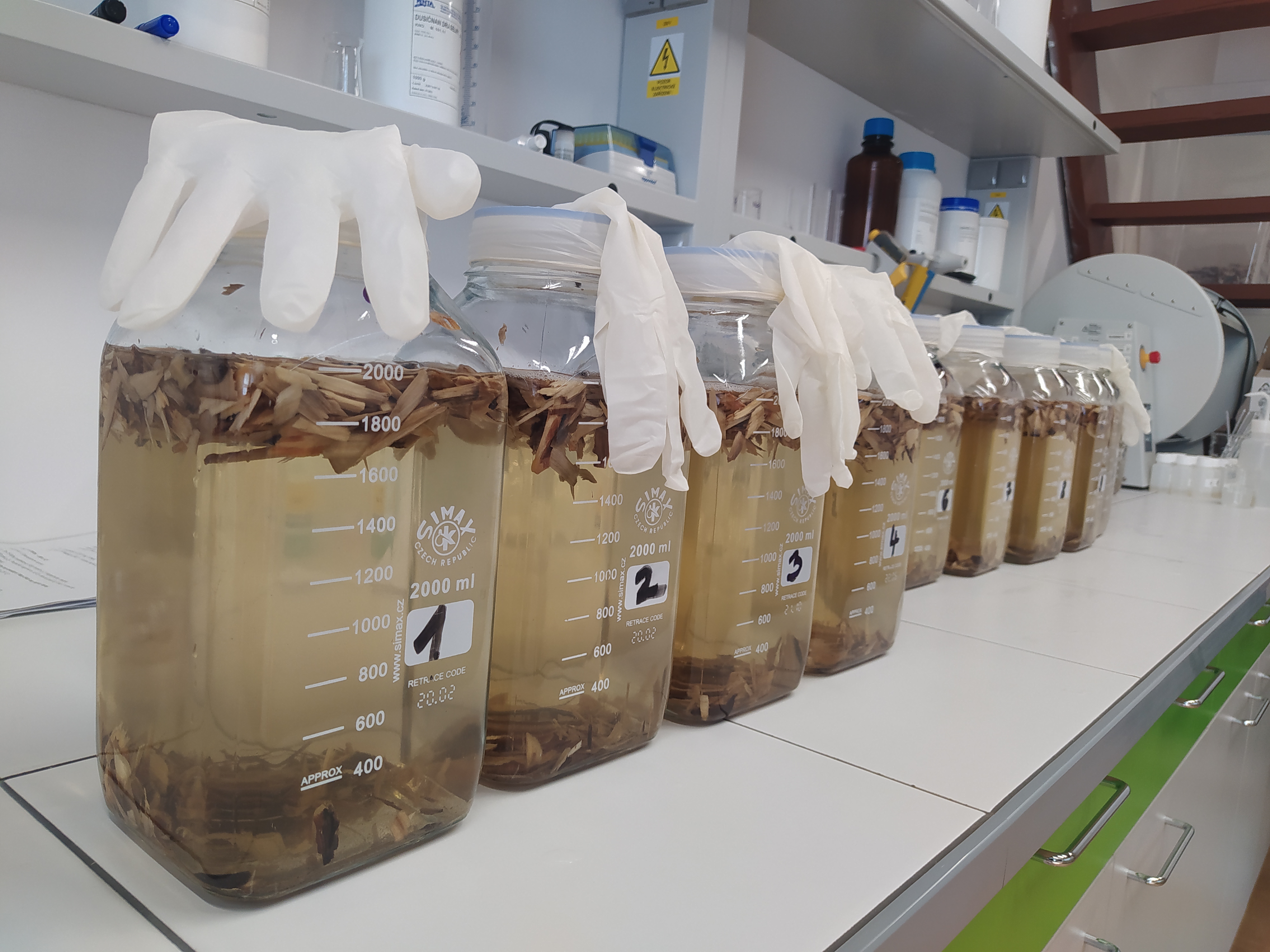Obr. 4 Laboratorní denitrifikační test