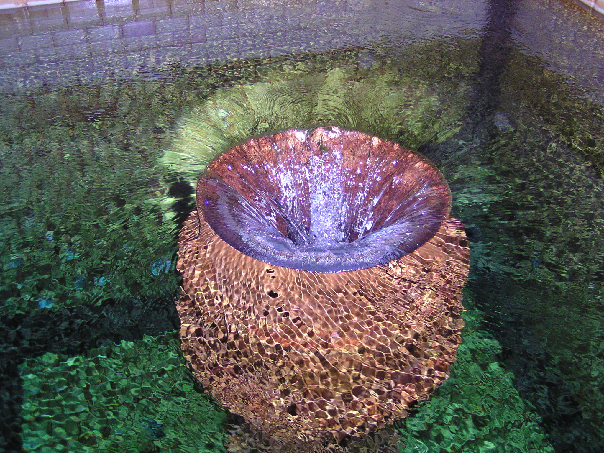 odtok